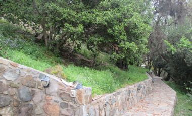 HERMOSA PARCELA CON CASA Y ABUNDANTE VEGETACIÓN NATIVA