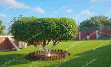 ‼️EN VENTA PRECIOSA CASA DE DESCANSO YAUTEPEC MORELOS‼️🏡