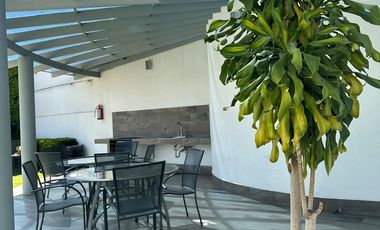 EN VENTA HERMOSO DEPARTAMENTO EN PLANTA BAJA CON MUCHO SOL Y TERRAZA Y JARDÍN