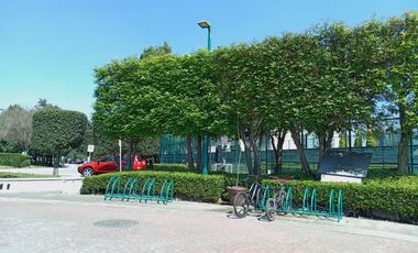 CASA EN RENTA AMUEBLADA TRES RECAMARAS CON JARDIN  METEPEC