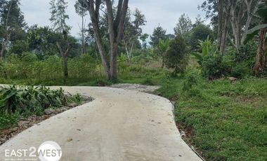 Dijual Kavling Cikatapis Megamendung Bogor Luas Murah Lokasi Nyaman Strategis