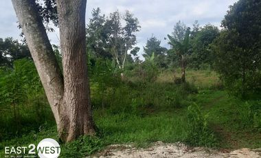 Dijual Kavling Cikatapis Megamendung Bogor Luas Murah Lokasi Nyaman Strategis