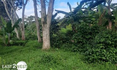 Dijual Kavling Cikatapis Megamendung Bogor Luas Murah Lokasi Nyaman Strategis