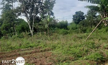 Dijual Kavling Cikatapis Megamendung Bogor Luas Murah Lokasi Nyaman Strategis