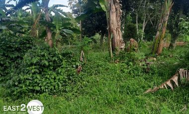 Dijual Kavling Cikatapis Megamendung Bogor Luas Murah Lokasi Nyaman Strategis