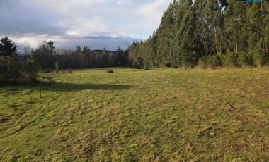 Parcelas en Venta, 5.000 m2, Sector los Laureles, Camino a Playa las Hadas