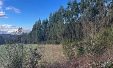 Parcelas en Venta, 5.000 m2, Sector los Laureles, Camino a Playa las Hadas