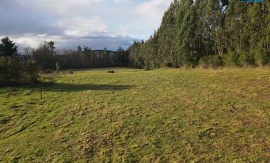 Parcelas en Venta, 5.000 m2, Sector los Laureles, Camino a Playa las Hadas