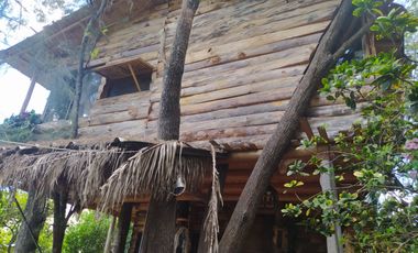 QUINTA KRONOPIOS: Santuario natural, Casas camprestres en alquiler