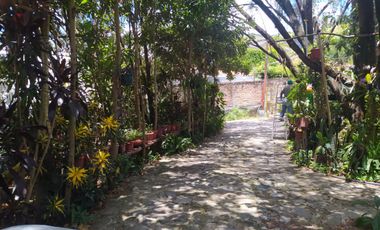 QUINTA KRONOPIOS: Santuario natural, Casas camprestres en alquiler