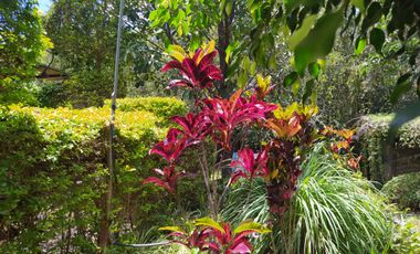QUINTA KRONOPIOS: Santuario natural, Casas camprestres en alquiler