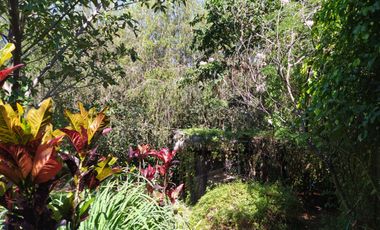 QUINTA KRONOPIOS: Santuario natural, Casas camprestres en alquiler