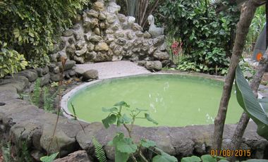 QUINTA KRONOPIOS: Santuario natural, Casas camprestres en alquiler