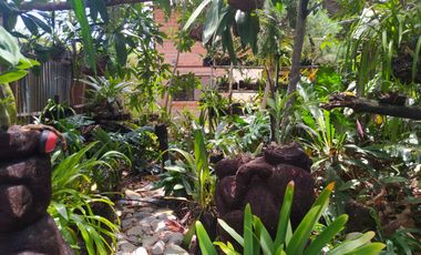 CASAS CAMPESTRES EN RENTA: Quinta Kronopios, Santuario natural