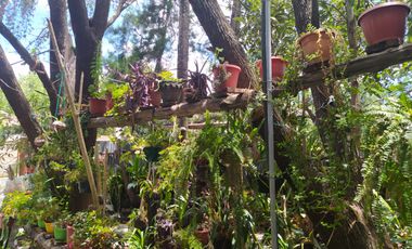 CASAS CAMPESTRES EN RENTA: Quinta Kronopios, Santuario natural