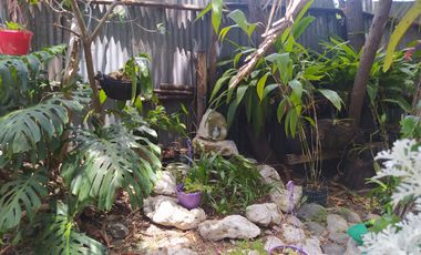 CASAS CAMPESTRES EN RENTA: Quinta Kronopios, Santuario natural