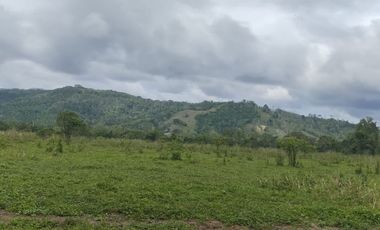 🌿 SE VENDE HACIENDA DE 120 HECTÁREAS EN RÍOVERDE - ESMERALDAS 🌿  📍 Ubicación: Cantón Ríoverde, Recinto Chontaduro, Provincia de Esmeraldas. 📏 Exte