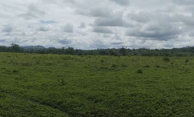 🌿 SE VENDE HACIENDA DE 120 HECTÁREAS EN RÍOVERDE - ESMERALDAS 🌿  📍 Ubicación: Cantón Ríoverde, Recinto Chontaduro, Provincia de Esmeraldas. 📏 Exte