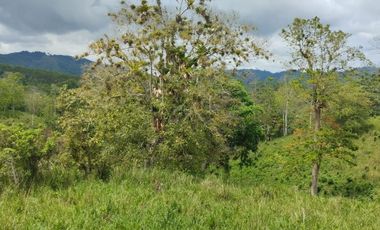 🌿 SE VENDE HACIENDA DE 120 HECTÁREAS EN RÍOVERDE - ESMERALDAS 🌿  📍 Ubicación: Cantón Ríoverde, Recinto Chontaduro, Provincia de Esmeraldas. 📏 Exte