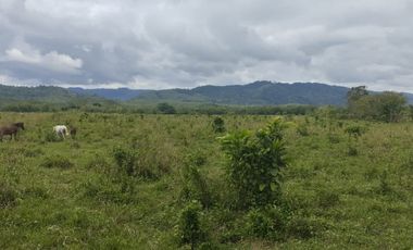 🌿 SE VENDE HACIENDA DE 120 HECTÁREAS EN RÍOVERDE - ESMERALDAS 🌿  📍 Ubicación: Cantón Ríoverde, Recinto Chontaduro, Provincia de Esmeraldas. 📏 Exte