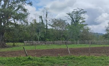 🌿 SE VENDE HACIENDA DE 120 HECTÁREAS EN RÍOVERDE - ESMERALDAS 🌿  📍 Ubicación: Cantón Ríoverde, Recinto Chontaduro, Provincia de Esmeraldas. 📏 Exte