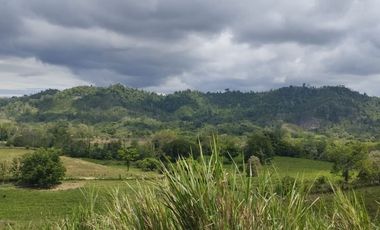 🌿 SE VENDE HACIENDA DE 120 HECTÁREAS EN RÍOVERDE - ESMERALDAS 🌿  📍 Ubicación: Cantón Ríoverde, Recinto Chontaduro, Provincia de Esmeraldas. 📏 Exte