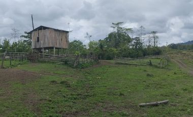 🌿 SE VENDE HACIENDA DE 120 HECTÁREAS EN RÍOVERDE - ESMERALDAS 🌿  📍 Ubicación: Cantón Ríoverde, Recinto Chontaduro, Provincia de Esmeraldas. 📏 Exte