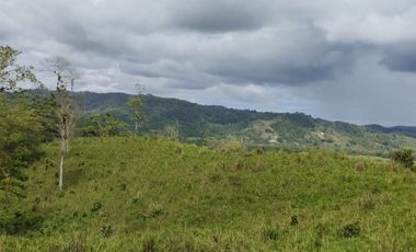 🌿 SE VENDE HACIENDA DE 120 HECTÁREAS EN RÍOVERDE - ESMERALDAS 🌿  📍 Ubicación: Cantón Ríoverde, Recinto Chontaduro, Provincia de Esmeraldas. 📏 Exte