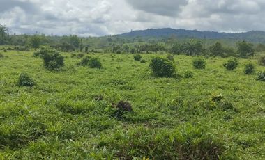 🌿 SE VENDE HACIENDA DE 120 HECTÁREAS EN RÍOVERDE - ESMERALDAS 🌿  📍 Ubicación: Cantón Ríoverde, Recinto Chontaduro, Provincia de Esmeraldas. 📏 Exte