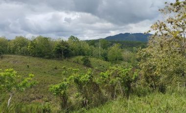 🌿 SE VENDE HACIENDA DE 120 HECTÁREAS EN RÍOVERDE - ESMERALDAS 🌿  📍 Ubicación: Cantón Ríoverde, Recinto Chontaduro, Provincia de Esmeraldas. 📏 Exte