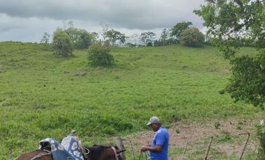 🌿 SE VENDE HACIENDA DE 120 HECTÁREAS EN RÍOVERDE - ESMERALDAS 🌿  📍 Ubicación: Cantón Ríoverde, Recinto Chontaduro, Provincia de Esmeraldas. 📏 Exte