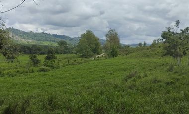 🌿 SE VENDE HACIENDA DE 120 HECTÁREAS EN RÍOVERDE - ESMERALDAS 🌿  📍 Ubicación: Cantón Ríoverde, Recinto Chontaduro, Provincia de Esmeraldas. 📏 Exte