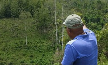 🌿 SE VENDE HACIENDA DE 120 HECTÁREAS EN RÍOVERDE - ESMERALDAS 🌿  📍 Ubicación: Cantón Ríoverde, Recinto Chontaduro, Provincia de Esmeraldas. 📏 Exte