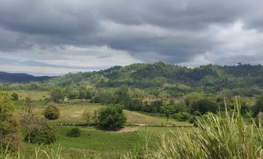 🌿 SE VENDE HACIENDA DE 120 HECTÁREAS EN RÍOVERDE - ESMERALDAS 🌿  📍 Ubicación: Cantón Ríoverde, Recinto Chontaduro, Provincia de Esmeraldas. 📏 Exte