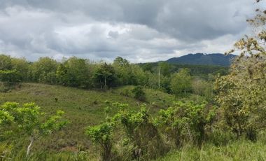 🌿 SE VENDE HACIENDA DE 120 HECTÁREAS EN RÍOVERDE - ESMERALDAS 🌿  📍 Ubicación: Cantón Ríoverde, Recinto Chontaduro, Provincia de Esmeraldas. 📏 Exte