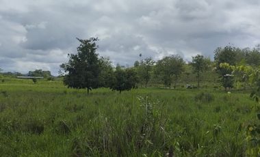 🌿 SE VENDE HACIENDA DE 120 HECTÁREAS EN RÍOVERDE - ESMERALDAS 🌿  📍 Ubicación: Cantón Ríoverde, Recinto Chontaduro, Provincia de Esmeraldas. 📏 Exte