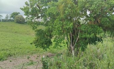 🌿 SE VENDE HACIENDA DE 120 HECTÁREAS EN RÍOVERDE - ESMERALDAS 🌿  📍 Ubicación: Cantón Ríoverde, Recinto Chontaduro, Provincia de Esmeraldas. 📏 Exte