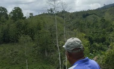 🌿 SE VENDE HACIENDA DE 120 HECTÁREAS EN RÍOVERDE - ESMERALDAS 🌿  📍 Ubicación: Cantón Ríoverde, Recinto Chontaduro, Provincia de Esmeraldas. 📏 Exte