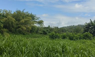 🌿 SE VENDE HACIENDA DE 120 HECTÁREAS EN RÍOVERDE - ESMERALDAS 🌿  📍 Ubicación: Cantón Ríoverde, Recinto Chontaduro, Provincia de Esmeraldas. 📏 Exte