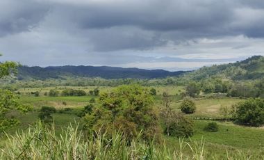 🌿 SE VENDE HACIENDA DE 120 HECTÁREAS EN RÍOVERDE - ESMERALDAS 🌿  📍 Ubicación: Cantón Ríoverde, Recinto Chontaduro, Provincia de Esmeraldas. 📏 Exte