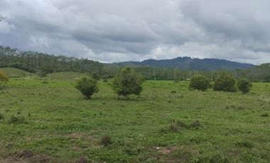 🌿 SE VENDE HACIENDA DE 120 HECTÁREAS EN RÍOVERDE - ESMERALDAS 🌿  📍 Ubicación: Cantón Ríoverde, Recinto Chontaduro, Provincia de Esmeraldas. 📏 Exte