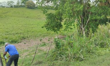 🌿 SE VENDE HACIENDA DE 120 HECTÁREAS EN RÍOVERDE - ESMERALDAS 🌿  📍 Ubicación: Cantón Ríoverde, Recinto Chontaduro, Provincia de Esmeraldas. 📏 Exte