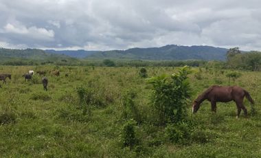 🌿 SE VENDE HACIENDA DE 120 HECTÁREAS EN RÍOVERDE - ESMERALDAS 🌿  📍 Ubicación: Cantón Ríoverde, Recinto Chontaduro, Provincia de Esmeraldas. 📏 Exte