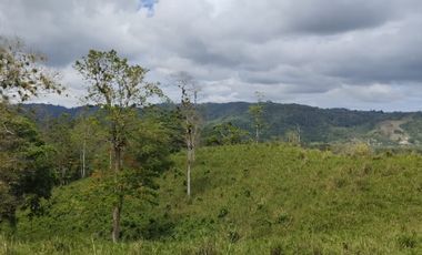 🌿 SE VENDE HACIENDA DE 120 HECTÁREAS EN RÍOVERDE - ESMERALDAS 🌿  📍 Ubicación: Cantón Ríoverde, Recinto Chontaduro, Provincia de Esmeraldas. 📏 Exte