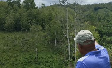 🌿 SE VENDE HACIENDA DE 120 HECTÁREAS EN RÍOVERDE - ESMERALDAS 🌿  📍 Ubicación: Cantón Ríoverde, Recinto Chontaduro, Provincia de Esmeraldas. 📏 Exte