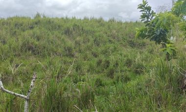 🌿 SE VENDE HACIENDA DE 120 HECTÁREAS EN RÍOVERDE - ESMERALDAS 🌿  📍 Ubicación: Cantón Ríoverde, Recinto Chontaduro, Provincia de Esmeraldas. 📏 Exte