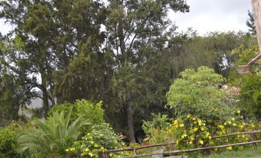 CASAS CAMPESTRE EN ARRIENDO: Quinta Kronopios, entorno ecológico y biodiverso