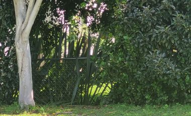 Venta Terrenos Av Los Reyes por Caseta Atlixcayotl