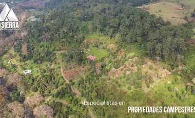 FINCA CON BOSQUE Y RÍO DE 25 HECTÁREAS