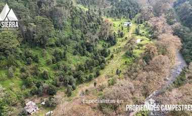 FINCA CON BOSQUE Y RÍO DE 25 HECTÁREAS